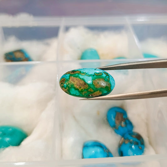 Irani Hussaini Feroaza